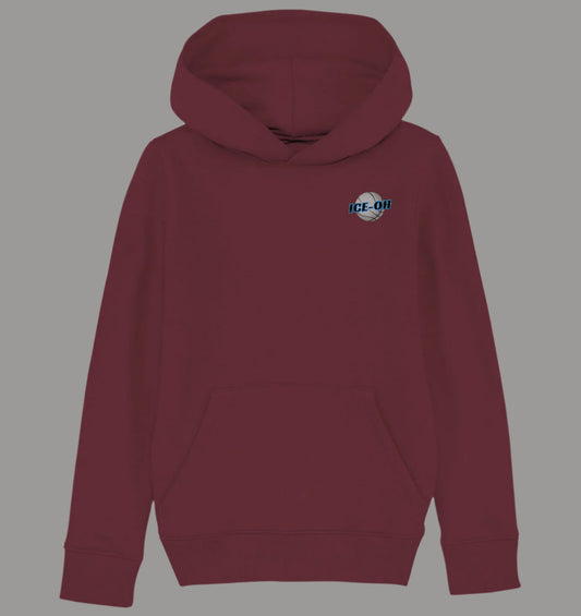 Boys Organic Hoodie Just Wanna Play